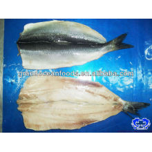 herring fillet IQF seafood